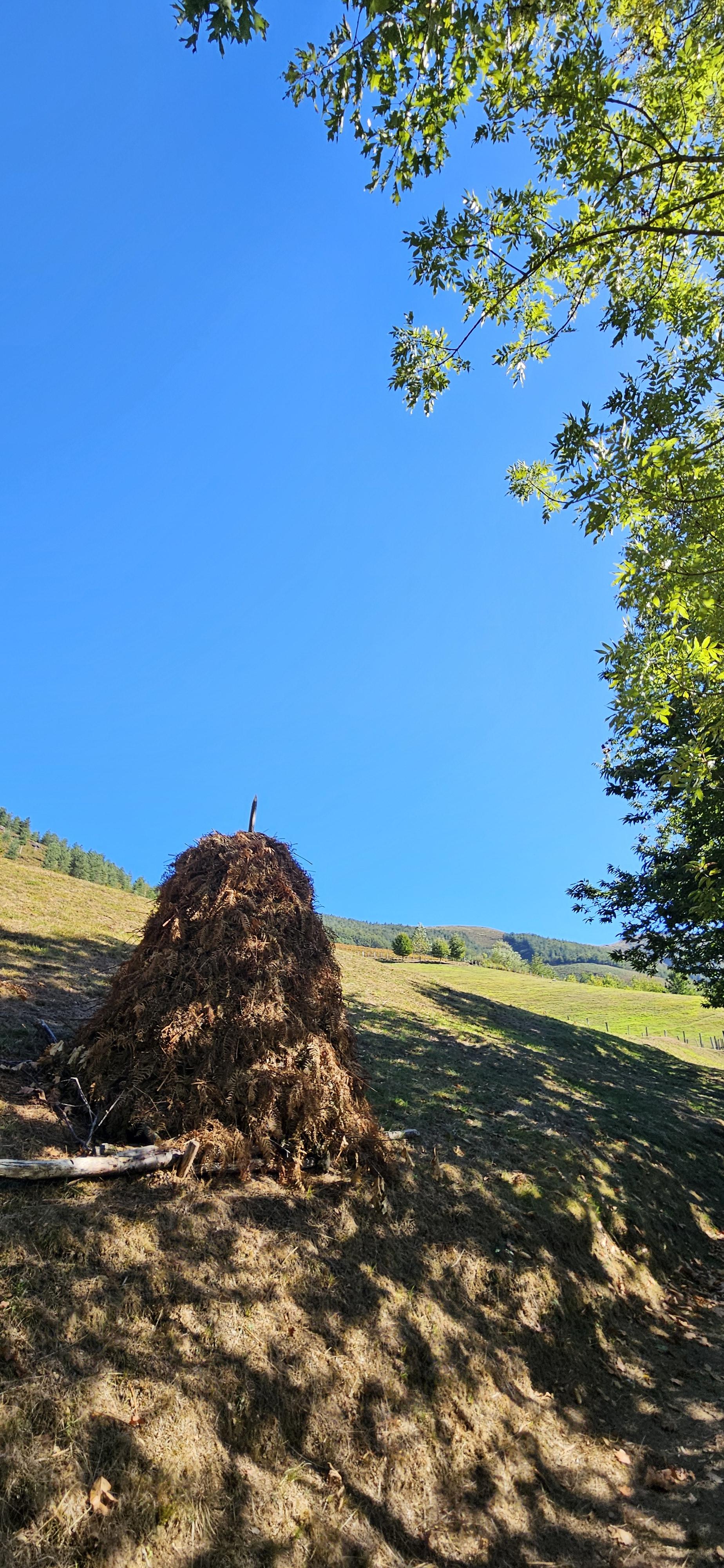 Photo of a Haystack in Arantza, Nafarroa